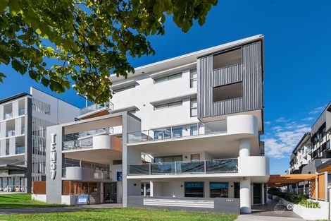 Property photo of 3/61 Ludwick Street Cannon Hill QLD 4170