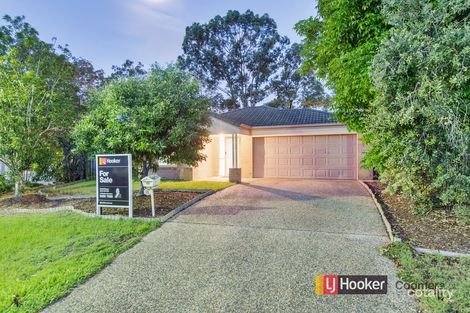 Property photo of 31 Clydesdale Drive Upper Coomera QLD 4209