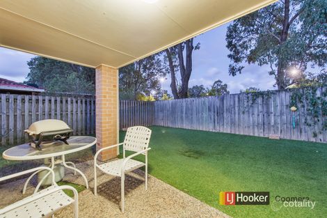 Property photo of 31 Clydesdale Drive Upper Coomera QLD 4209