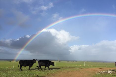 1976 Red Gully Rd, Mindarra, WA 6503