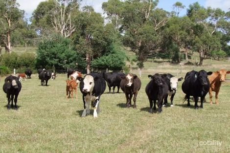 Property photo of 410 Farmers Road Dumbalk North VIC 3956