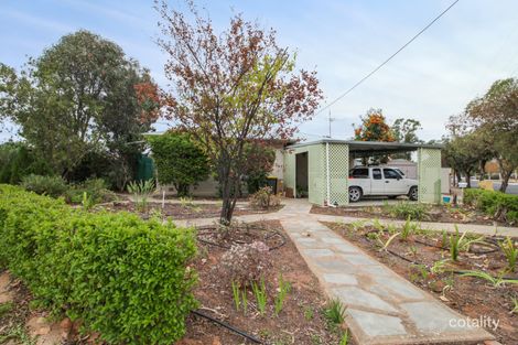 Property photo of 29 Scott Avenue Barmera SA 5345