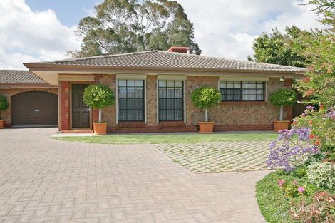 4/20 Young Ave, West Hindmarsh, SA 5007