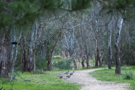 Property photo of 71 Bennett Street Heathcote VIC 3523
