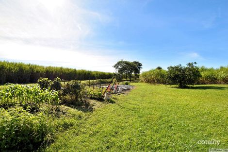 64 Brosnan Rd, Lower Tully, QLD 4854