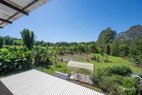 Property photo of 99 Coral Avenue Mullumbimby NSW 2482