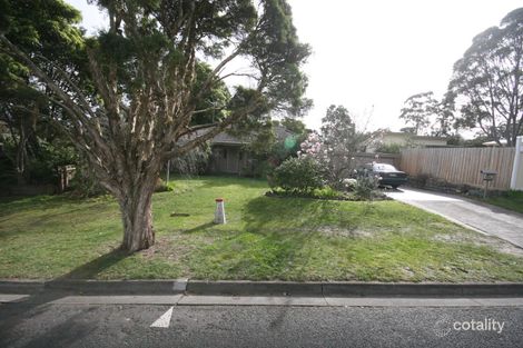 49 Cuthbert St, Heathmont, VIC 3135