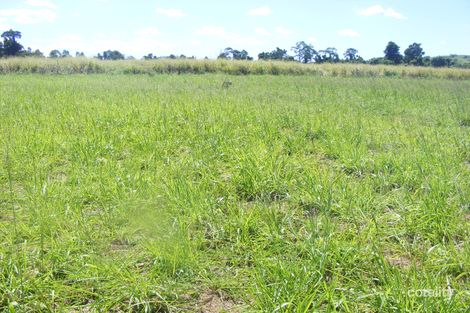 11 Twine Rd, Camp Creek, QLD 4871