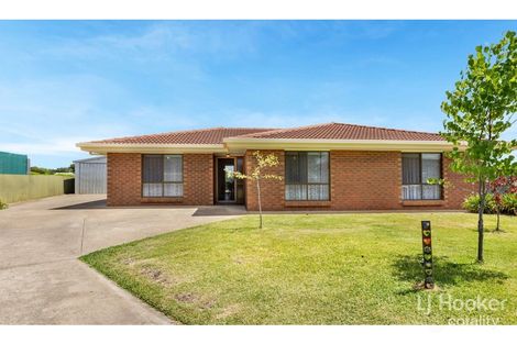 Property photo of 11 Blaxland Street Nuriootpa SA 5355