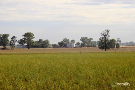 434 Frogleys Rd, Walmer, NSW 2820