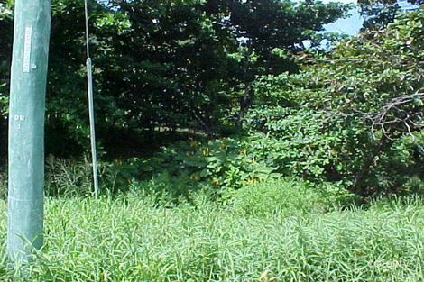 Property photo of 12 Clark Street Thursday Island QLD 4875