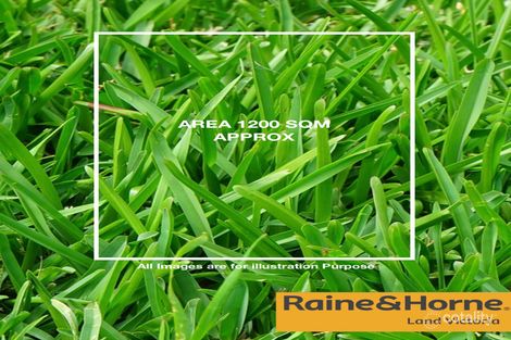 11a Black St, Brighton, VIC 3186