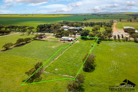 17 Evans Rd, Walkaway, WA 6528