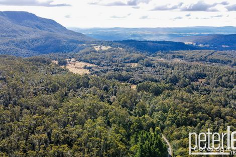 Property photo of 12555 Highland Lakes Road Golden Valley TAS 7304