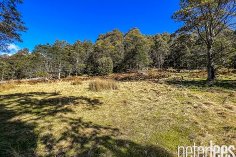 Property photo of 12555 Highland Lakes Road Golden Valley TAS 7304