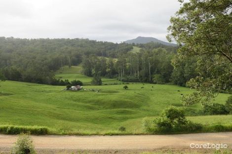 Property photo of 207 Upper Buckrabendinni Road Buckra Bendinni NSW 2449