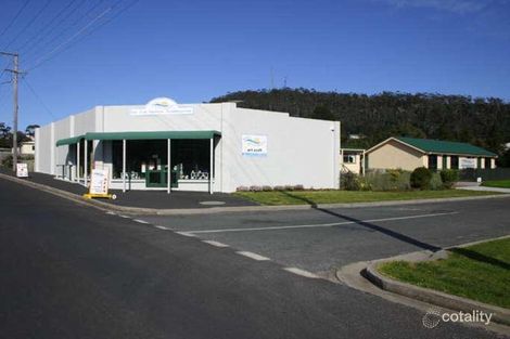 60 Burgess St, Bicheno, TAS 7215