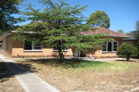 Property photo of 21 Cashel Street Pasadena SA 5042