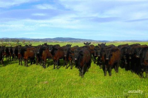 222-290 Blessington Rd, St Leonards, TAS 7250