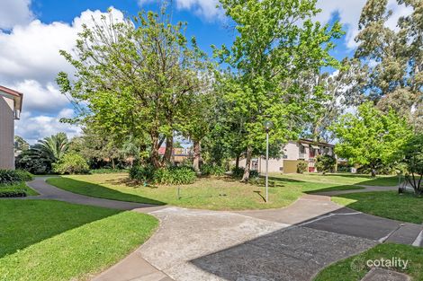 Property photo of 16/8 Wemyss Avenue Hawthorn SA 5062