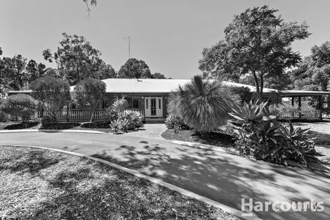 Property photo of 29 Nutbush Avenue Falcon WA 6210