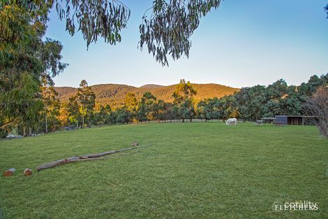 Property photo of 719 Chum Creek Road Chum Creek VIC 3777