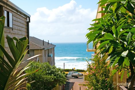 Property photo of 8/62 Carrington Parade Curl Curl NSW 2096