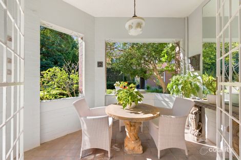 Property photo of 3/123 Ocean Street Edgecliff NSW 2027