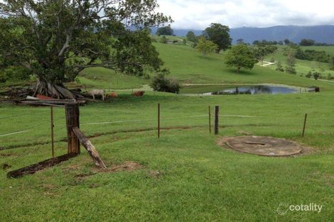 Property photo of 141 Tyalgum Creek Road Tyalgum Creek NSW 2484