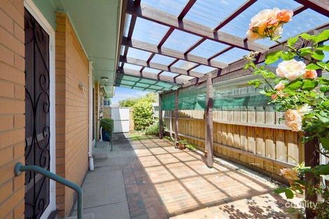 Property photo of 19 Amber Grove Mount Waverley VIC 3149