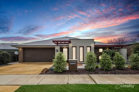 Property photo of 70 Blizzard Circuit Forde ACT 2914