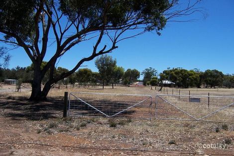 Property photo of 19 Costelloe Street Wagin WA 6315