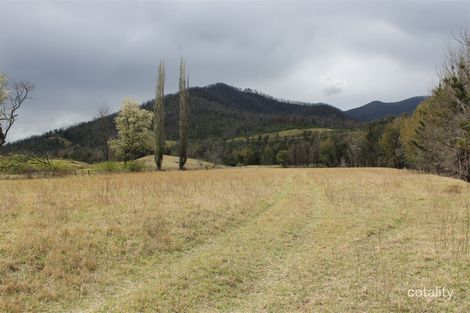 Property photo of 5305 Araluen Road Neringla NSW 2622