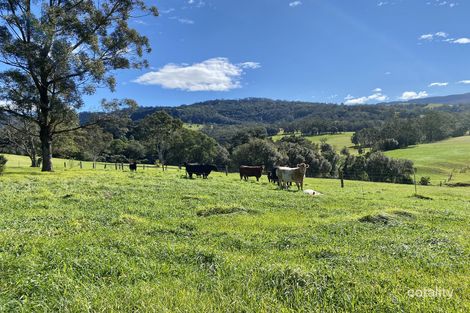 Property photo of 66 Croziers Road Jaspers Brush NSW 2535