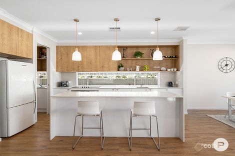 Property photo of 51 Grenade Street Cannon Hill QLD 4170