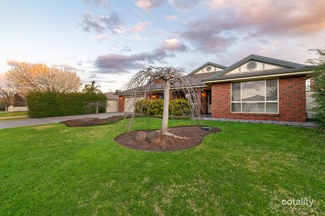 Property photo of 3 Merrimu Court Kialla VIC 3631