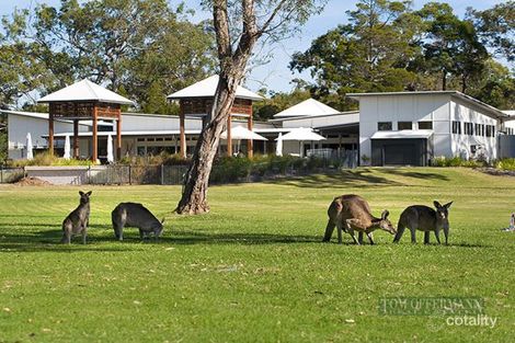 Property photo of 41/90 Beach Road Noosa North Shore QLD 4565