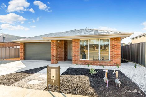 Property photo of 11 Eucalyptus Street Jackass Flat VIC 3556