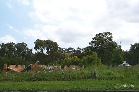 Property photo of 51 Portal Street Oxley QLD 4075