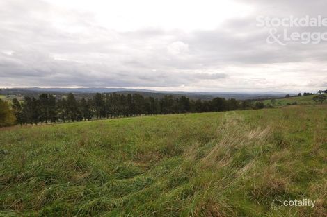 Property photo of 271 Ure Road Gembrook VIC 3783