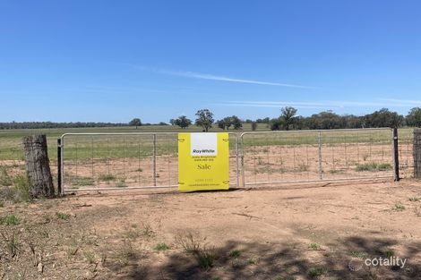124r Minore Rd, Minore, NSW 2830
