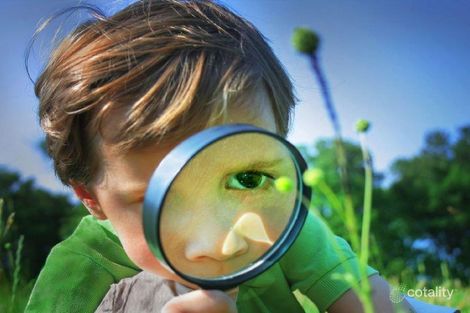 9 Fenton Ave, Toronto, NSW 2283