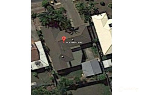Property photo of 48 Wallaroo Way Doolandella QLD 4077