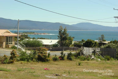 51 Tribe St, Bicheno, TAS 7215