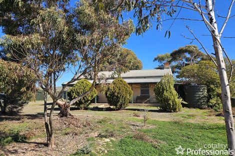 163 Hills Rd, Robertstown, SA 5381