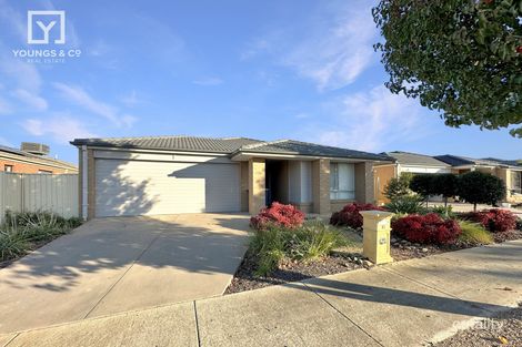 16 Noosa Ct, Shepparton North, VIC 3631
