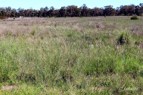 29 Manusu Dr, Mendooran, NSW 2842