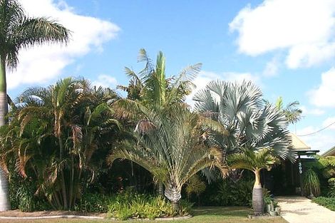 309 Boat Harbour Dr, Scarness, QLD 4655