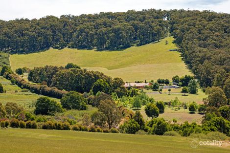 699 Kinglake-Glenburn Rd, Kinglake, VIC 3763