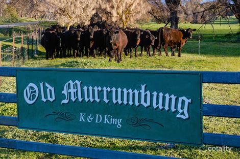 208 Vokins Creek Rd, Little Billabong, NSW 2644